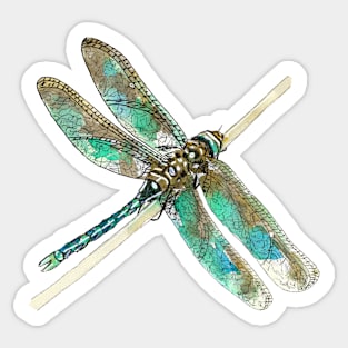 Dragonfly Sticker